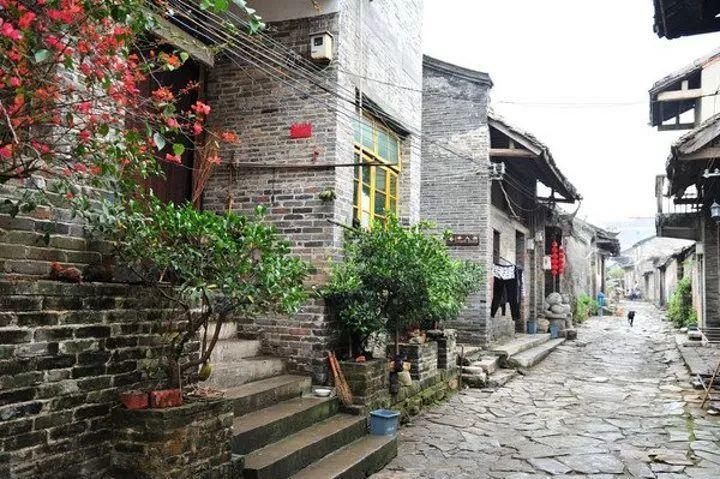苏菲亚的休闲装